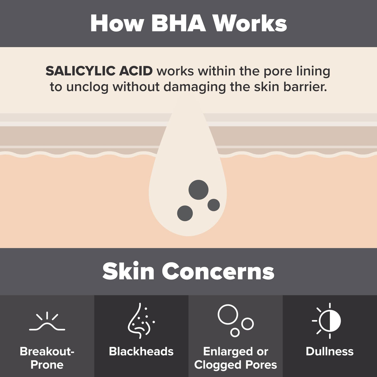 2% BHA Liquid Salicylic Acid Exfoliant + ( Extra Free Months)